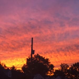 Meet your Posher, Kasey